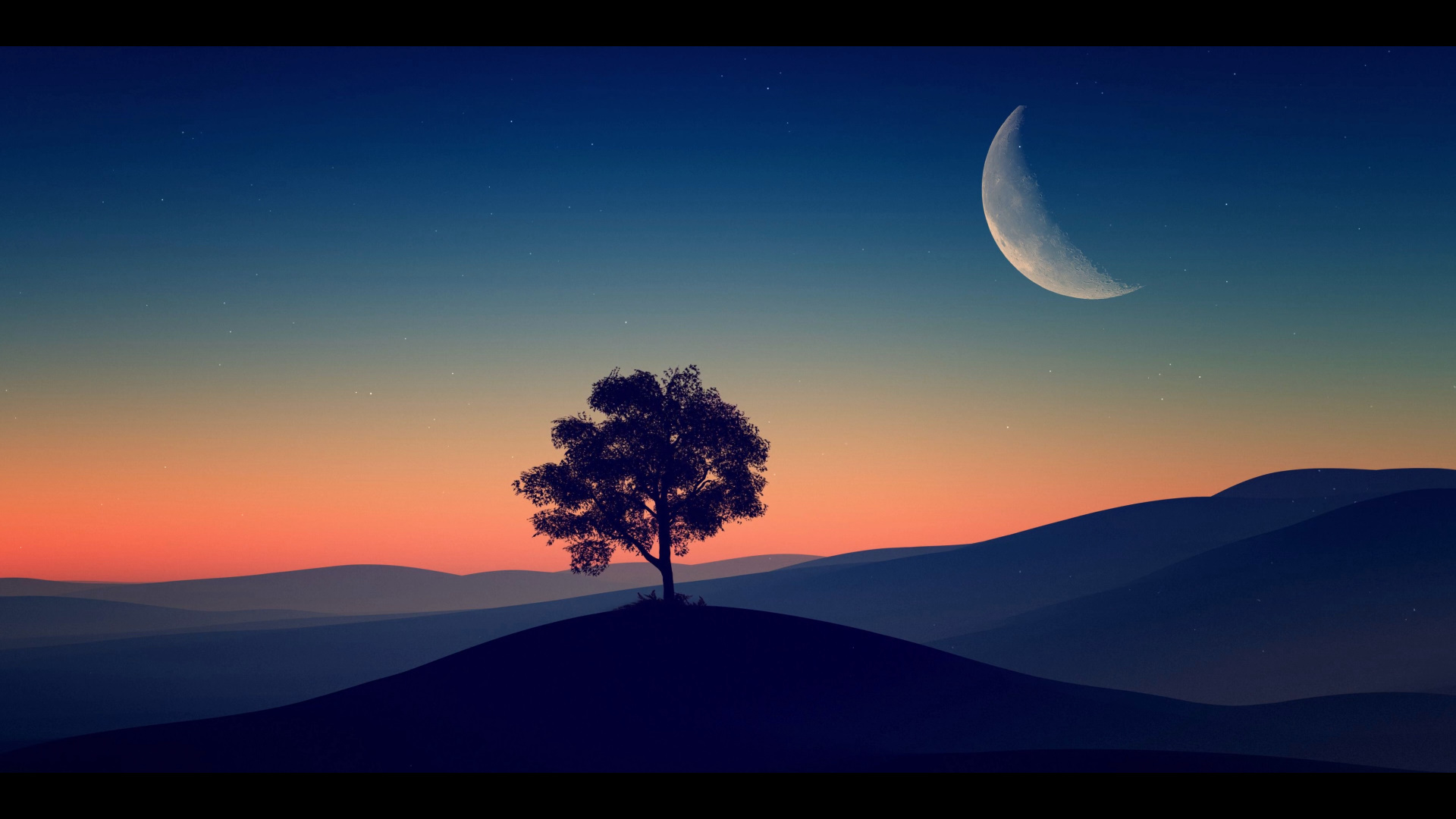 alone-tree-4k