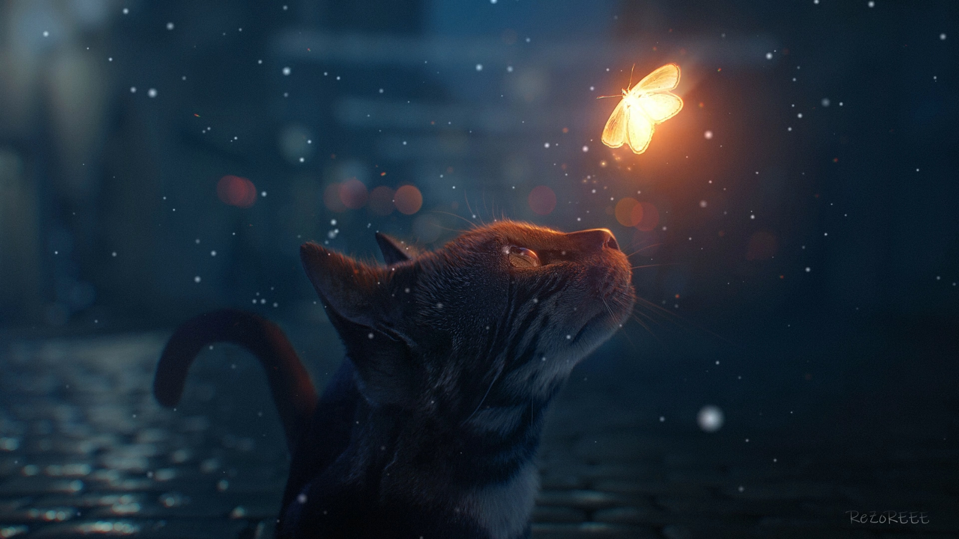 cat-and-butterfly