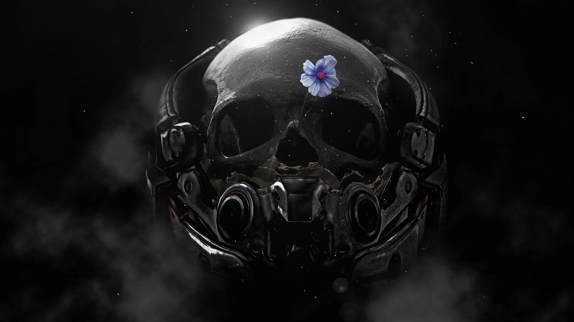 flower-in-black-skull-4k