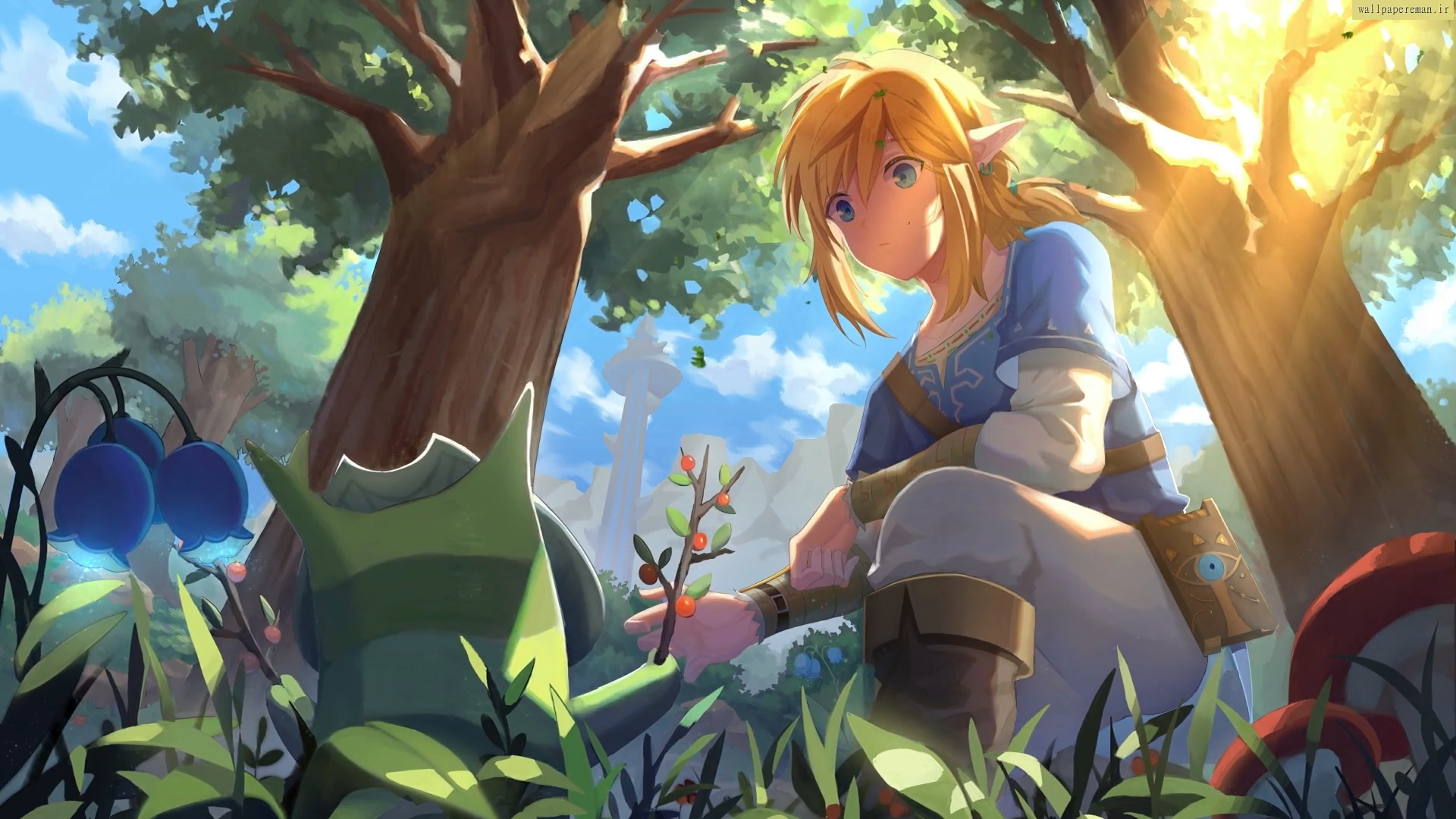 legend-of-zelda-link
