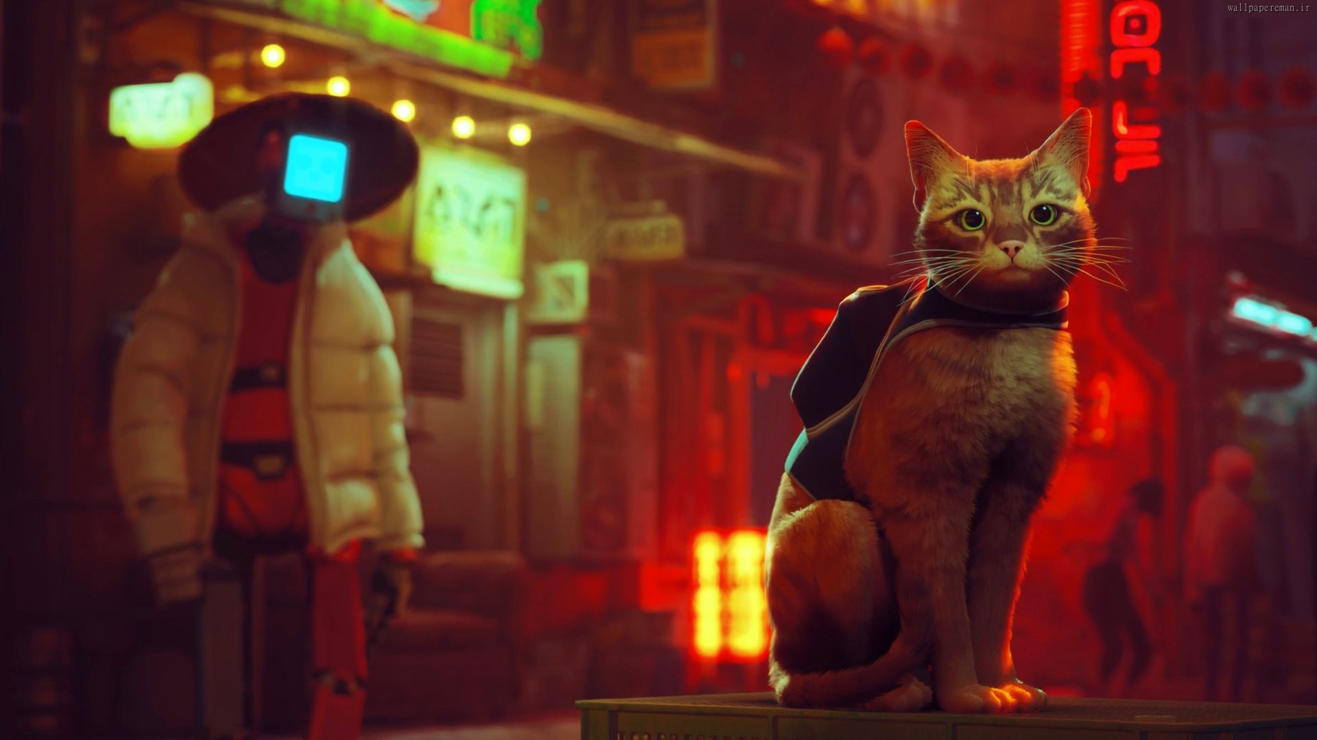 stray