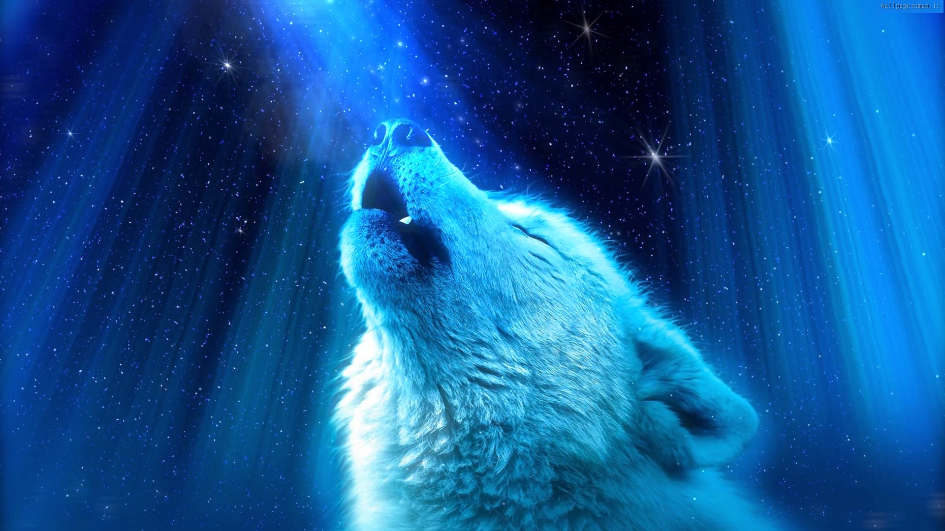 wolf-under-blue-night-sky